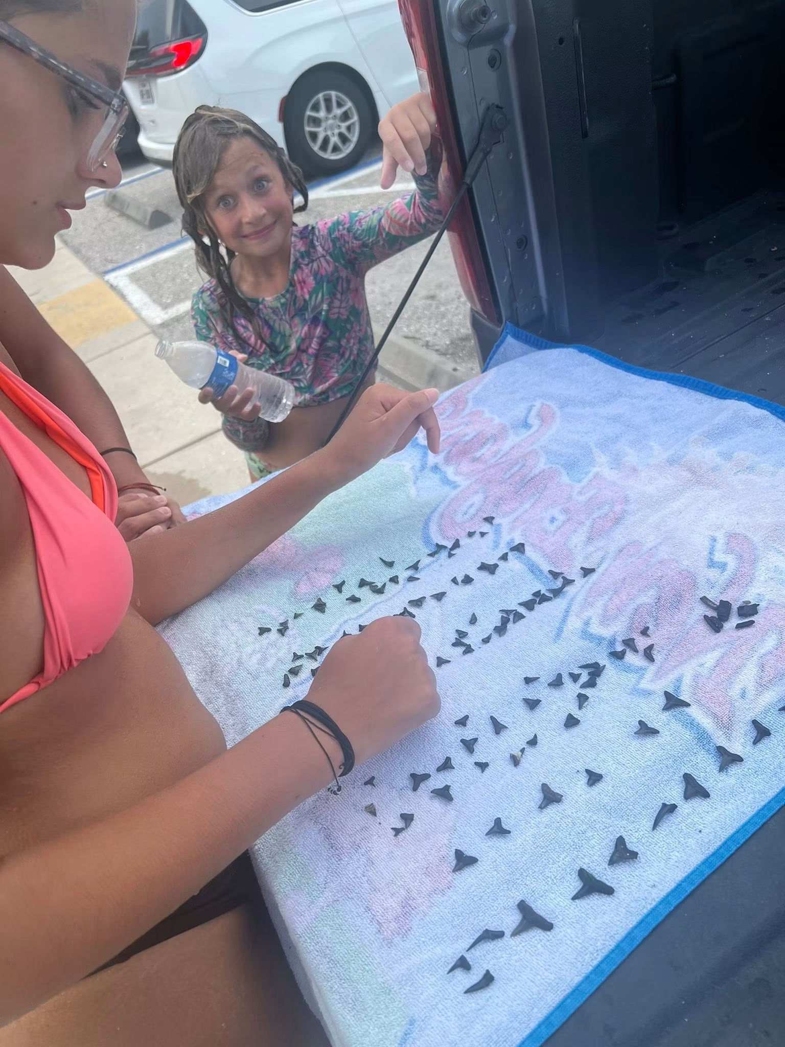 Guests examining an impressive collection of shark teeth after their beach hunt